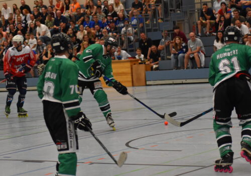 Spielbild IHC Landau - Adler Mannheim