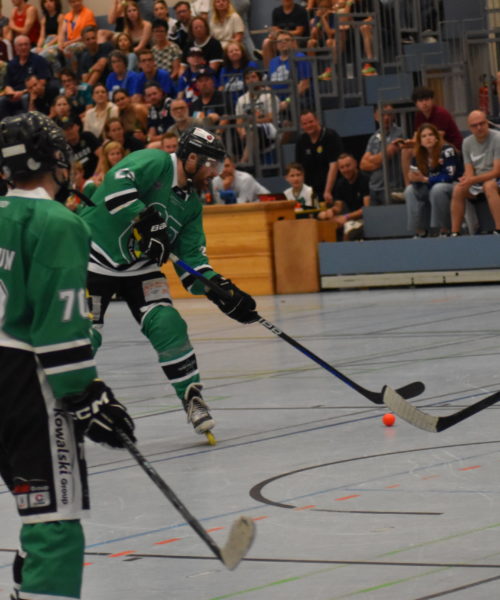 Spielbild IHC Landau - Adler Mannheim