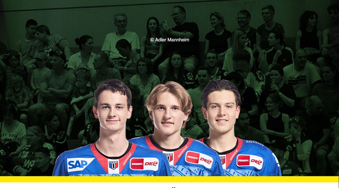 Max Calce Colin Schlenker Nick Mähler